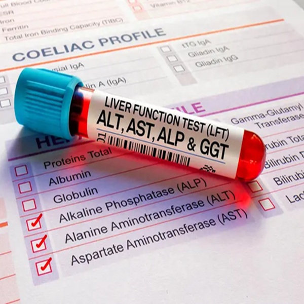 ALT-SGPT-GPT