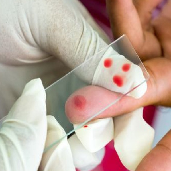 Blood Parasites
