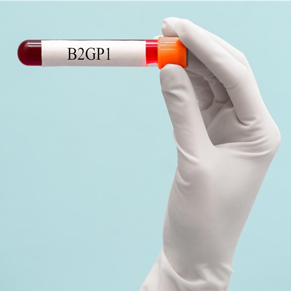 B2GP1